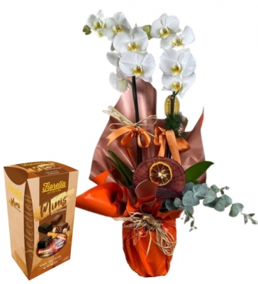2 Dal Beyaz Orkide - Fiorellla Karışık Çikolata