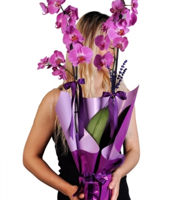 2 Dal Mor Orkide Çiçeği