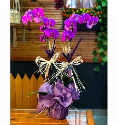 Mor Orkide Çiçeği 2Dallı