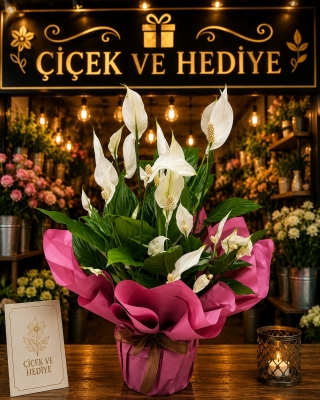 BARIŞ ÇİÇEĞİ (SPATİFİLYUM) TÜL TASARIMI