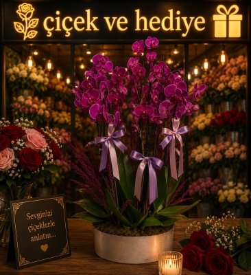 10`lu Mor Orkide
