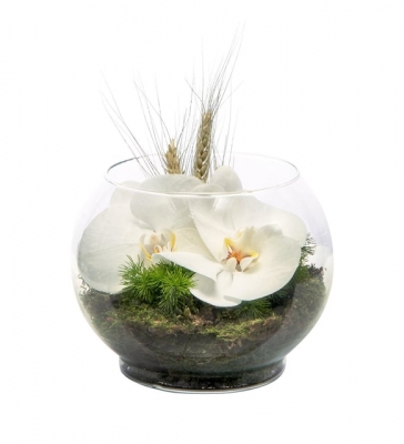 Akvaryum Vazoda Orkideler