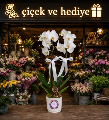 Anneler Günü Stickerlı Beton Saksıda Çiftli Orkide