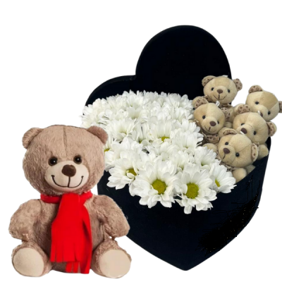  Aşkın Papatya Kucaklaması Aşkın Papatya Kucaklaması