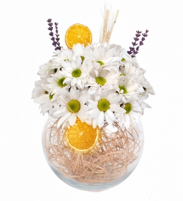 Beyaz Bahar Papatyalar Fanus vazo içerisinde naturel rafyalar, beyaz papatyalar, kurutulmuş limonlar ile hazırlanmıştır.