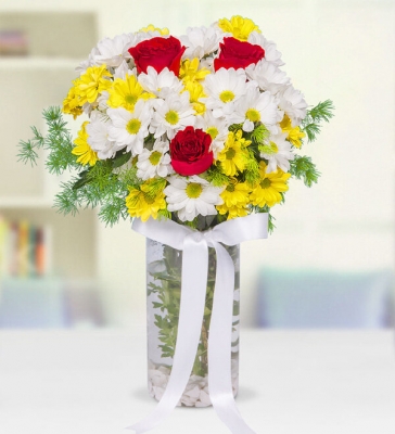 Bahar Esintisi Papatyalar ve Güller