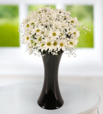 Beyaz Mutluluk Papatya Aranjmanı