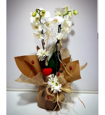 ÇİFT DALLI BEYAZ ORKİDE VE ÖZEL TASARIM SÜSLEME