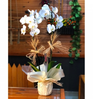 Beyaz Orkide Çiçeği 2 Dallı