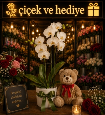 Canım Sevgilim Ayıcıklı 2 Dal Orkide Çiçeği