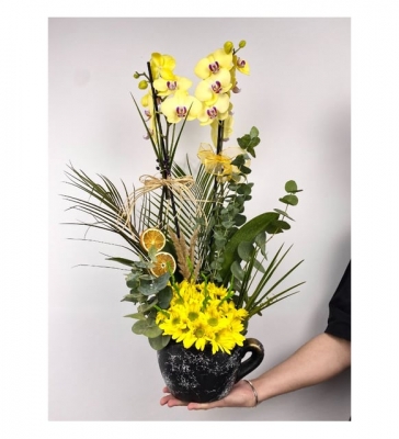 Dekoratif Vazoda Premium 2 Dal Sarı Orkide Tasarım