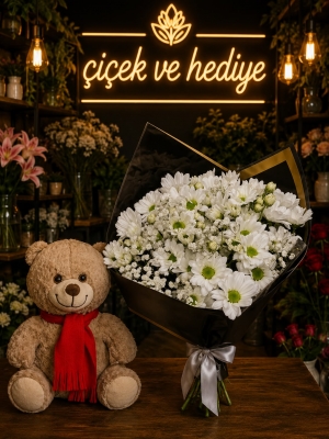 Beyaz Bahar Papatyaları
