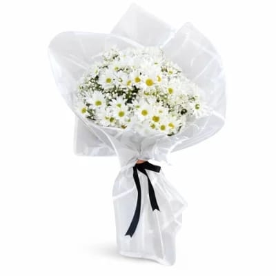 Beyaz Papatya Esintisi