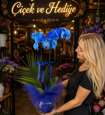 Mavi Orkide Tasarım cicekvehediye