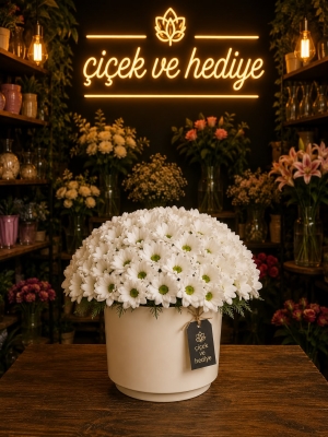Beyaz Papatya Aranjmanı