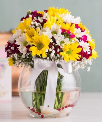 Paşabahçe Vazoda Papatya Karnavalı