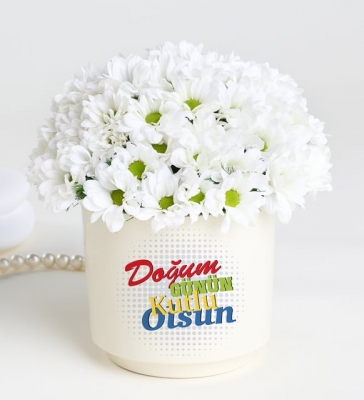 Doğum Günü Tebrikli Papatya Aranjmanı