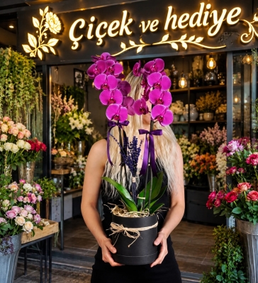 Premium Siyah Kutuda Mor Orkide Bahçesi