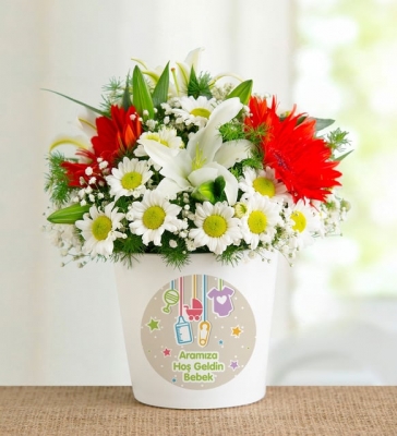 Hoş Geldin Bebek Vazolu Papatya Lilyum ve Gerberalar