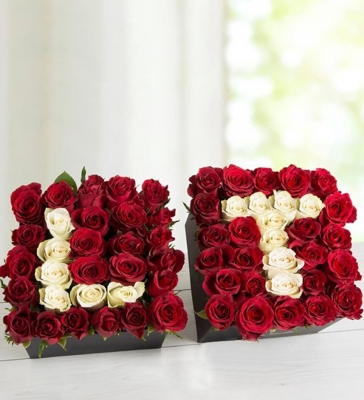 İkili Kişiye Özel Aşkın Baş Harfi Kırmızı Gül Aranjmanı