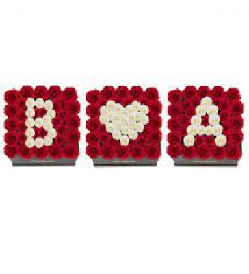 İkili Kişiye Özel Kalpli Aşkın Baş Harfi Kırmızı Güller