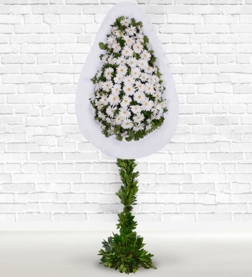 Beyaz Gerbera Sepeti Beyaz gerbera ile hazırlanmış tek katlı açılış ve düğün çelenkleri.