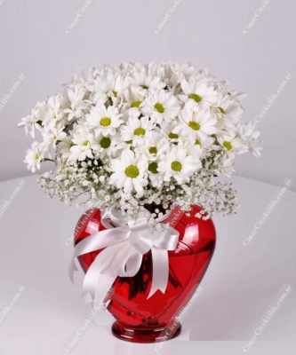 kırmızı kalp vazo içerisinde papatya