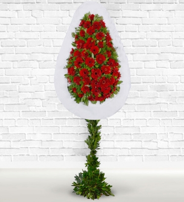 Destenası Gün Kırmızı Kutlama Gelin Duvağı