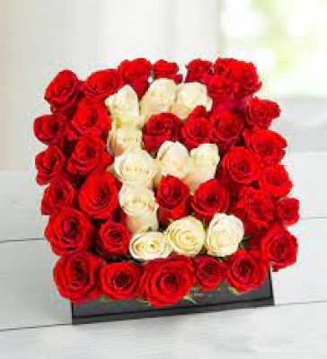 Kişiye Özel Aşkın Baş Harfi Kırmızı Gül Aranjmanı