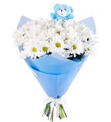 Mavi Ayıcık ve Papatya Buketim