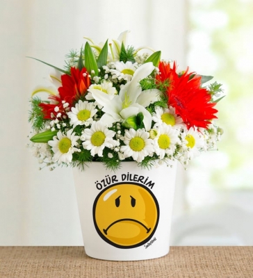 Özür Dilerim Vazolu 3 Kırmızı Gül ve Papatya Aranjmanı