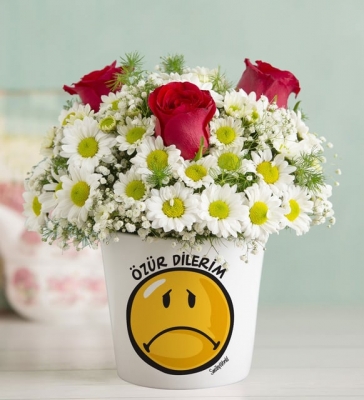 Özür Dilerim Vazolu 3 Kırmızı Gül ve Papatya Aranjmanı