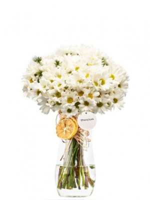 Papatya Bahçesi Tasarım Aranjmanı Biabonte