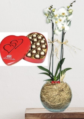 Paşabahçe Cam Fanusta 2 Dal Beyaz Orkide Çiçeği ve Kalp kutu Çikolata
