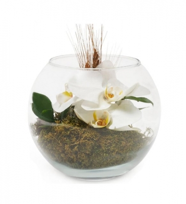 Paşabahçe Vazoda Beyaz Orkideler