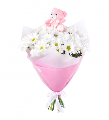 Pembe Ayıcıklı Papatya Bahçesi yenişehir çiçekçi