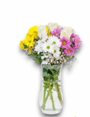 Renkli Papatya Ve Beyaz Gül