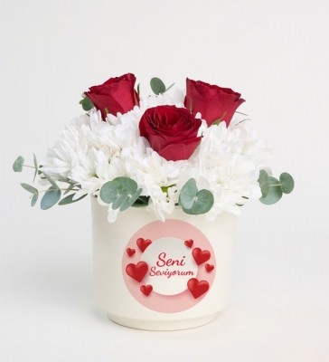 Seni Seviyorum Saksıda Papatya ve Kırmızı Güller