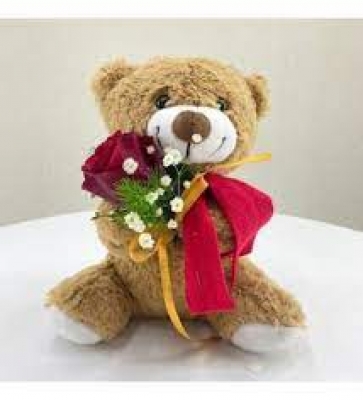 Sevimli Ayıcık Kırmızı Gül