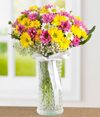 Silindir Cam Vazoda Rengarenk Papatyalar