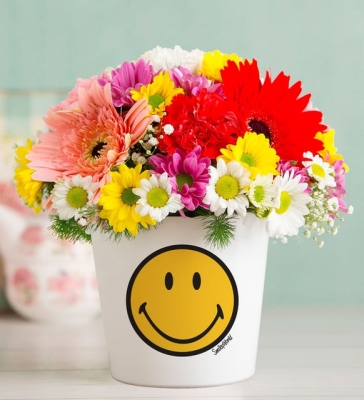 Smiley Vazolu Papatya Gerbera ve Karanfil Aranjmanı