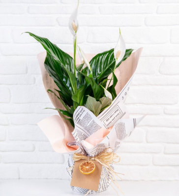 Tasarım Taze Çiçek-Your Footprint on the Moon