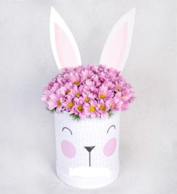 Sevimli Kutuda Papatya Aranjmanı