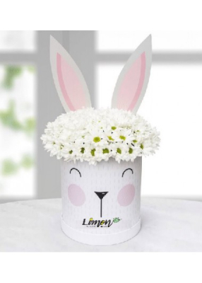 tavşanlı kutuda papatya