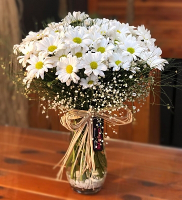 Paşabahçe Vazoda Papatya Bahçesi