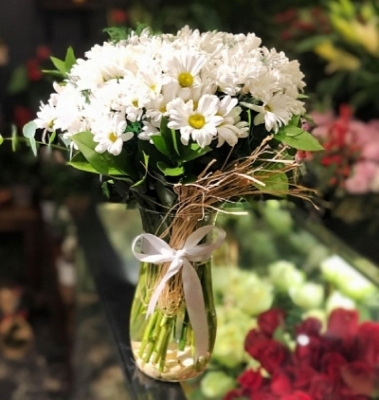 Papatya Bahçesi Kayapınar Çiçek