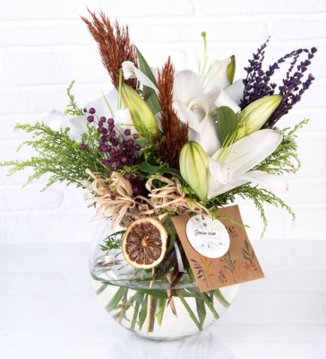 ViaBonte-Before Dawn