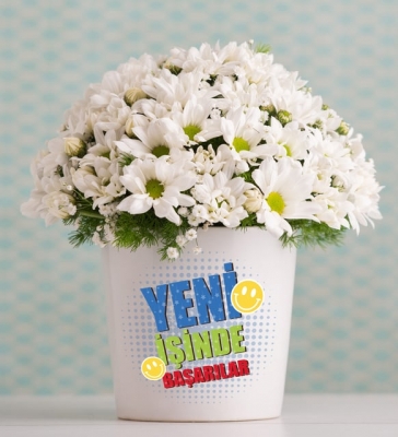 Yeni İş Tebrikli Papatya Aranjmanı